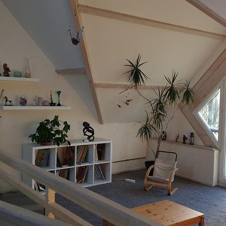 Grande Maison Avec Spa Proche De Caen Et De La Mer Brouay 外观 照片