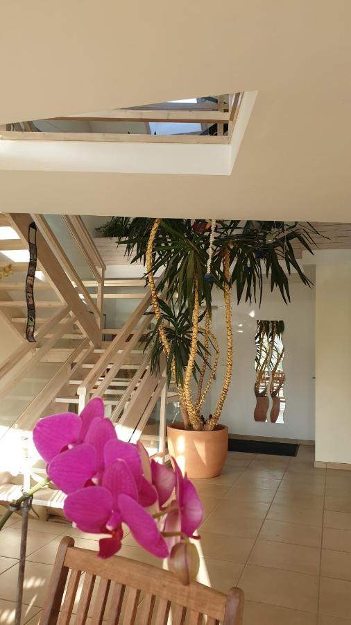 Grande Maison Avec Spa Proche De Caen Et De La Mer Brouay 外观 照片